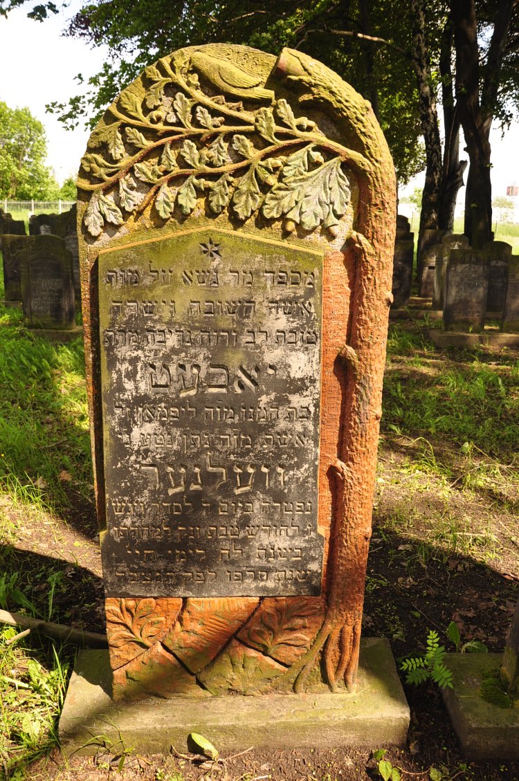 Gravestones - Photo