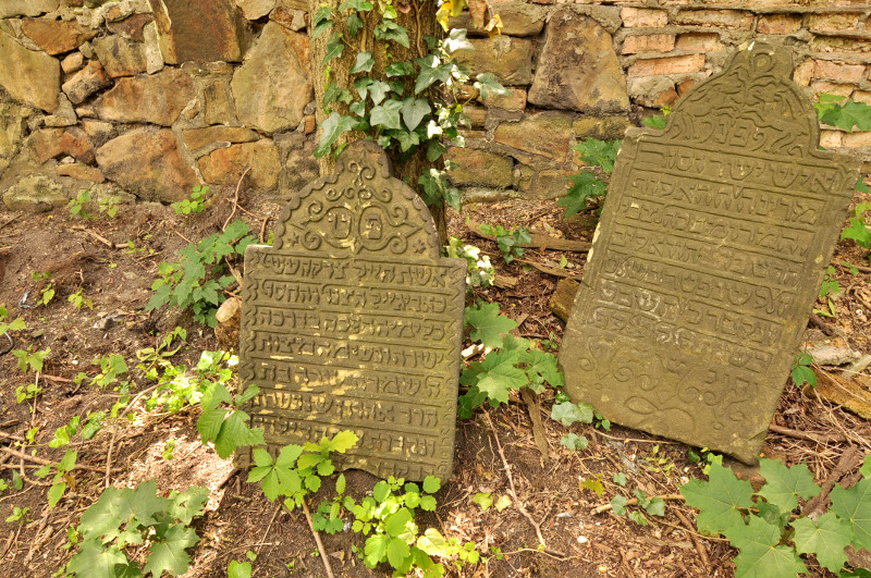 Fotka z cmentarza 2014