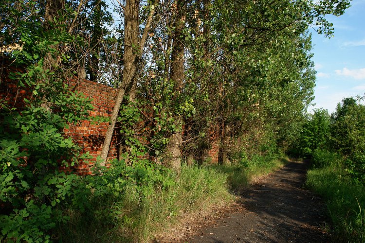 The Fürstengrube Subcamp