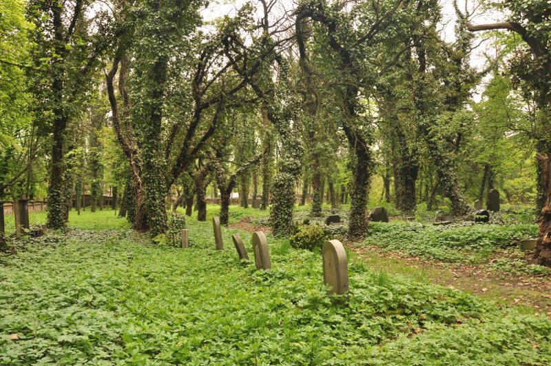 Cemetery in Zabrze